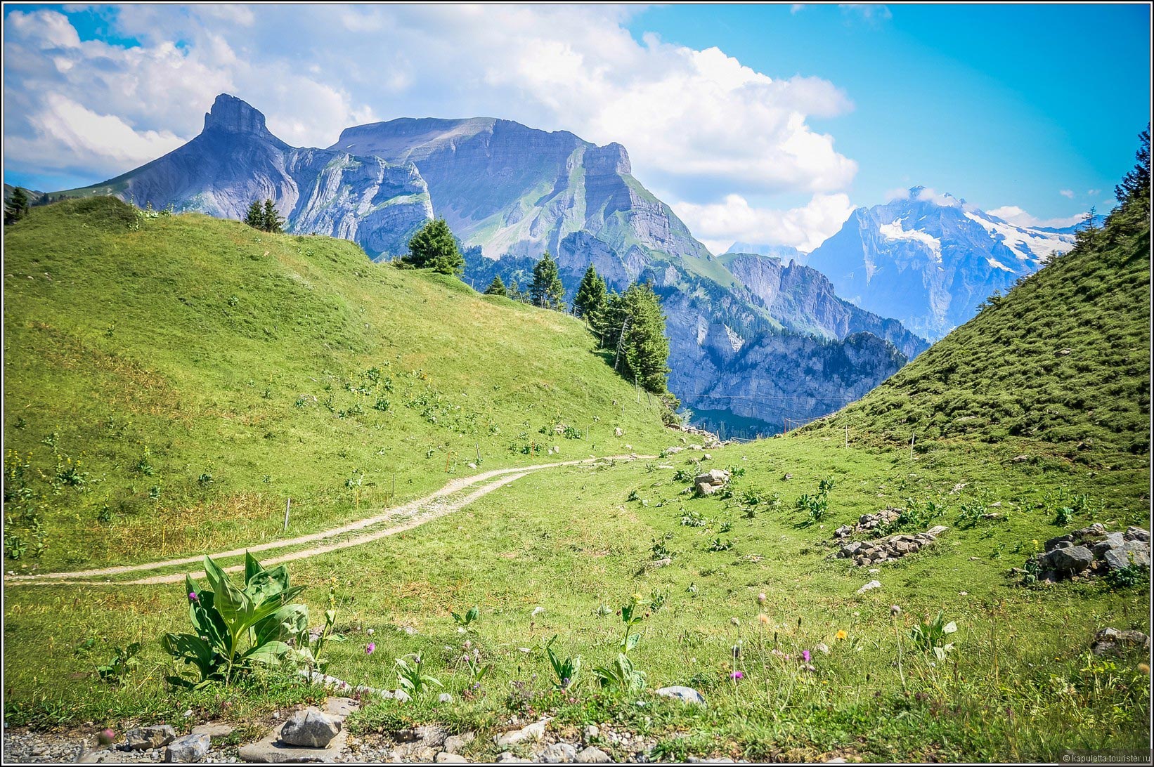 Schynige Platte (Wilderswil)